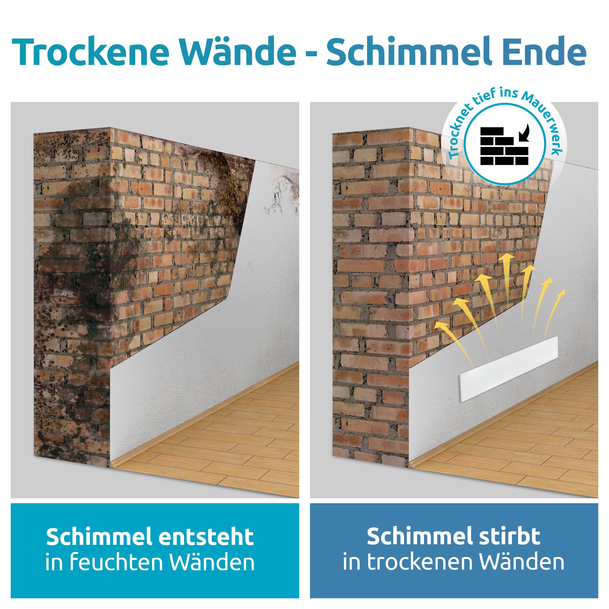 Mould-DRY Dry Walls - No More Mould!