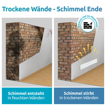 Mould-DRY Dry Walls - No More Mould!